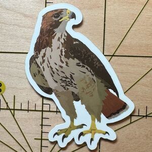 💜13/$13 +Bundle Sticker Sale | Hawk Bird Animal Waterproof Sticker